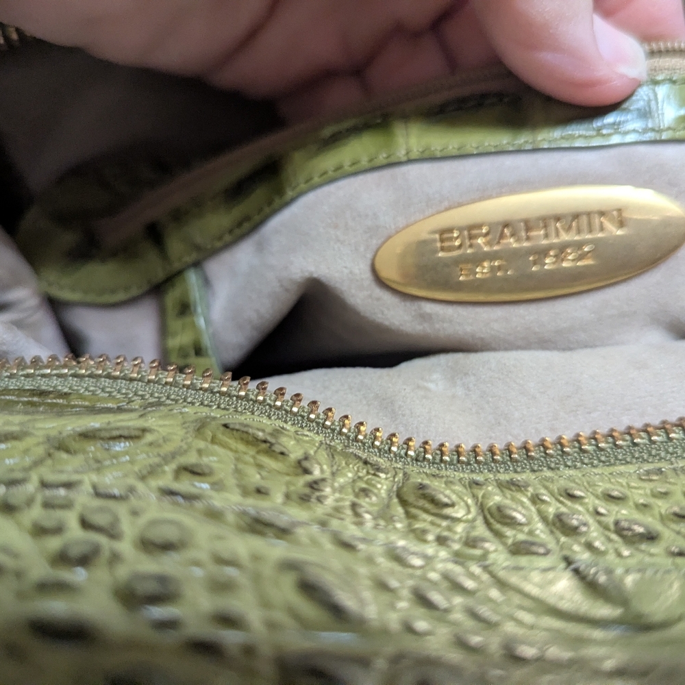 Brahmin green purse